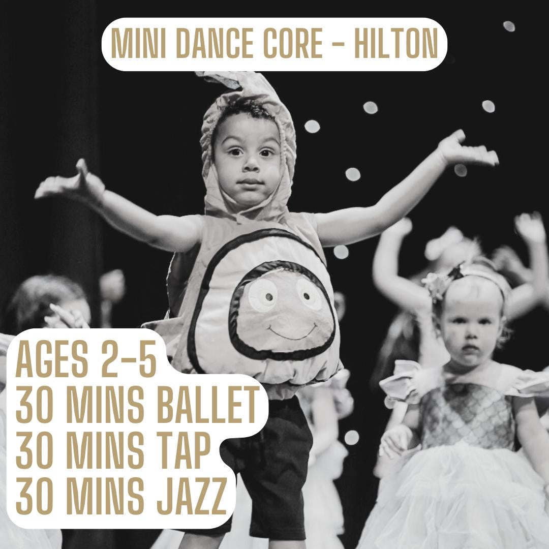 Mini Dance Core Class - Hilton.
